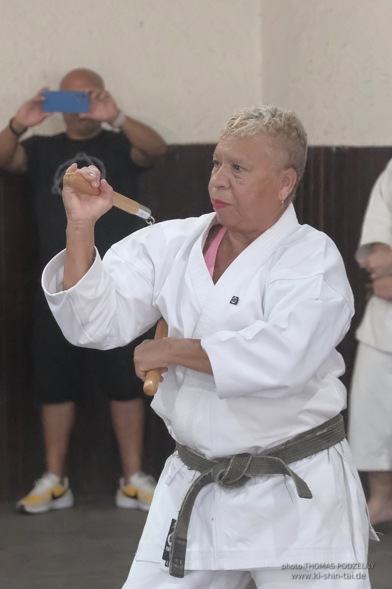 Ryûkyû Kobudô Lehrgang mit Thomas Podzelny in Petropolis/Brasilien 22./23.11.2025