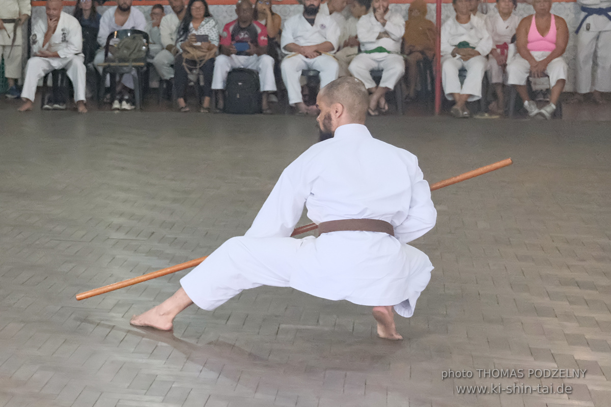 Ryûkyû Kobudô Lehrgang mit Thomas Podzelny in Petropolis/Brasilien 22./23.11.2025
