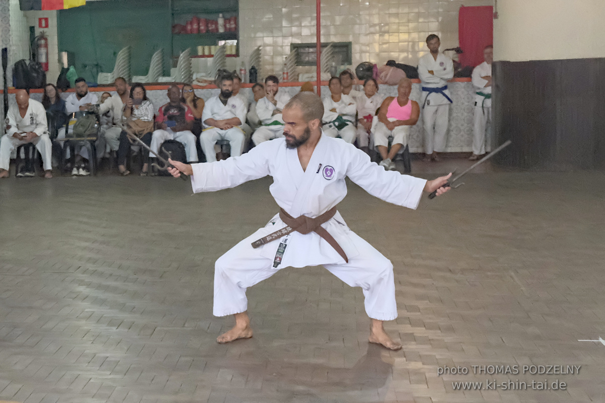 Ryûkyû Kobudô Lehrgang mit Thomas Podzelny in Petropolis/Brasilien 22./23.11.2025