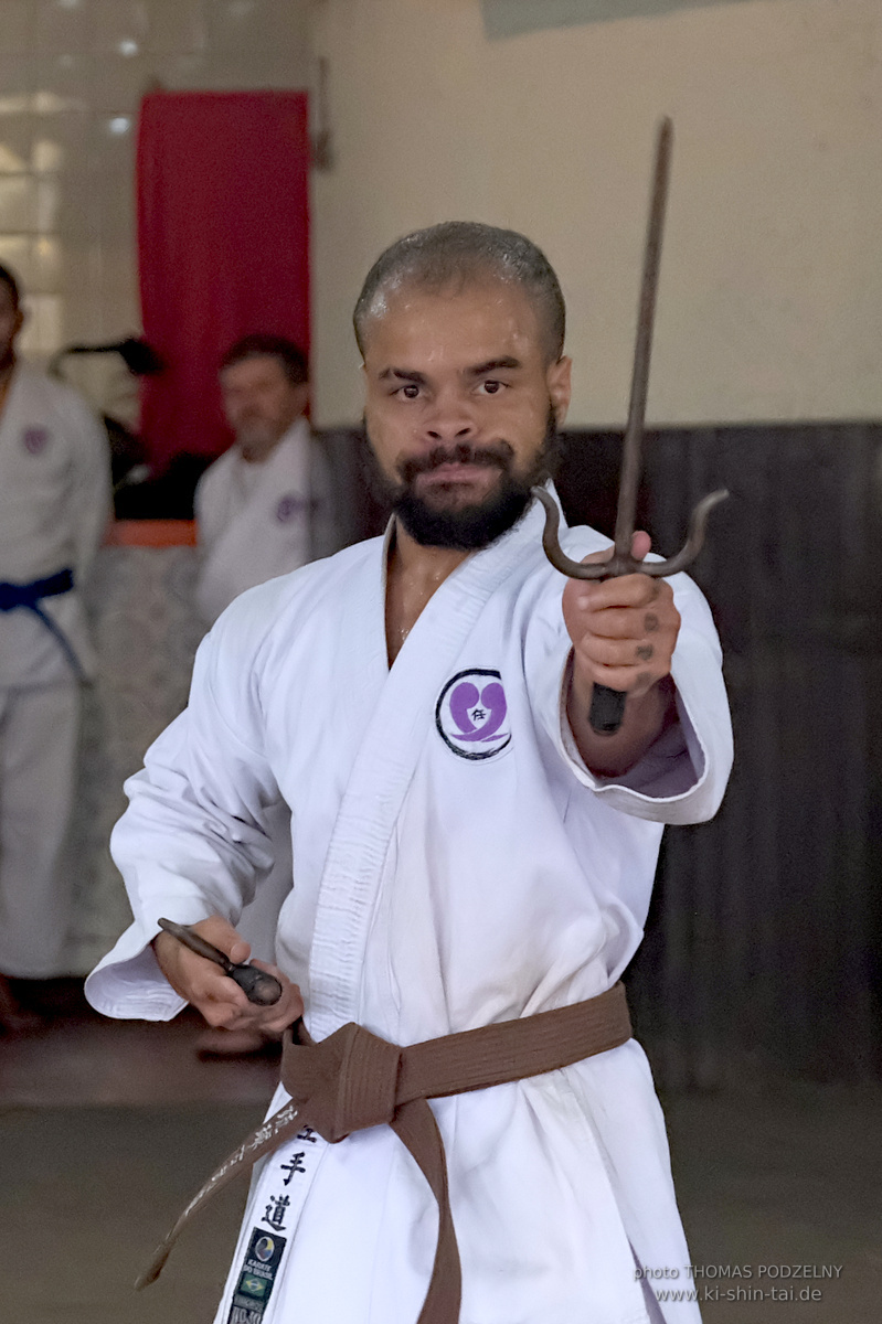 Ryûkyû Kobudô Lehrgang mit Thomas Podzelny in Petropolis/Brasilien 22./23.11.2025