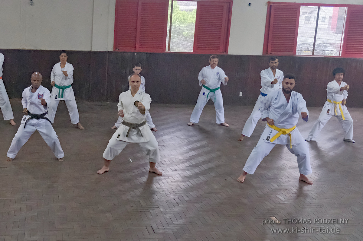 Ryûkyû Kobudô Lehrgang mit Thomas Podzelny in Petropolis/Brasilien 22./23.11.2025