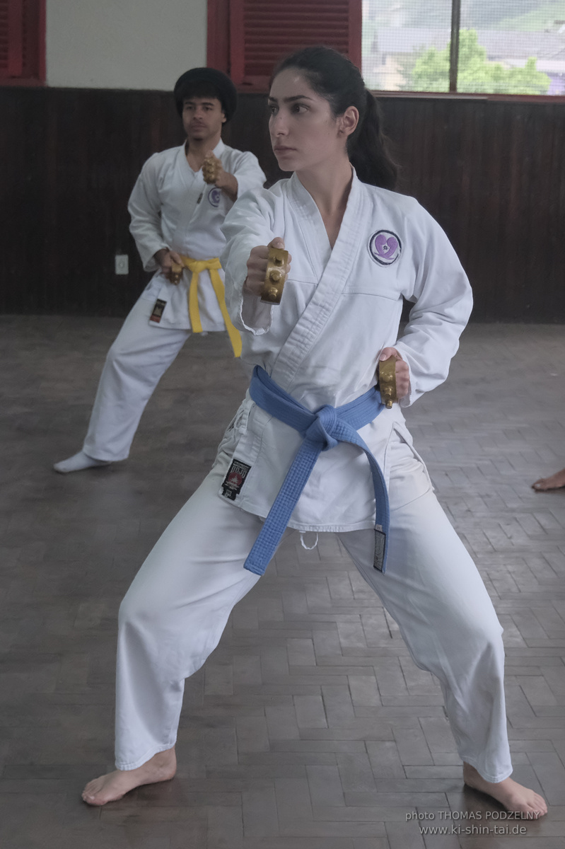 Ryûkyû Kobudô Lehrgang mit Thomas Podzelny in Petropolis/Brasilien 22./23.11.2025