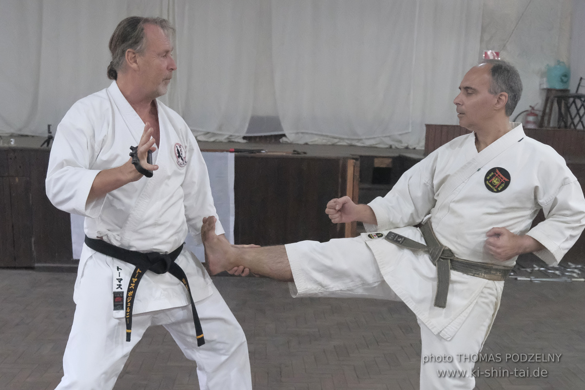 Ryûkyû Kobudô Lehrgang mit Thomas Podzelny in Petropolis/Brasilien 22./23.11.2025