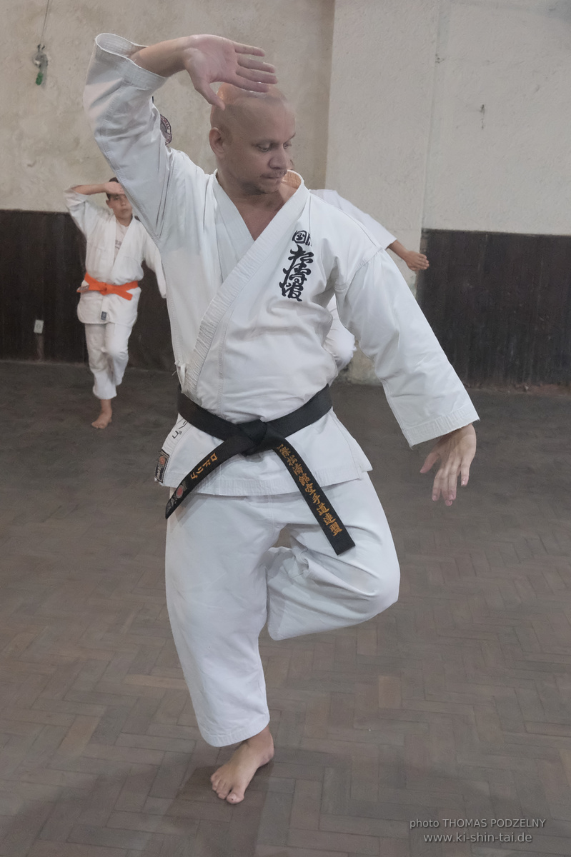 Ryûkyû Kobudô Lehrgang mit Thomas Podzelny in Petropolis/Brasilien 22./23.11.2025