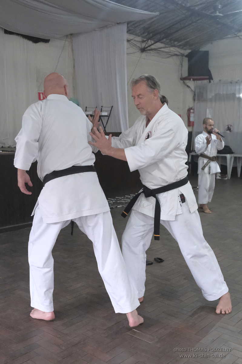 Ryûkyû Kobudô Lehrgang mit Thomas Podzelny in Petropolis/Brasilien 22./23.11.2025