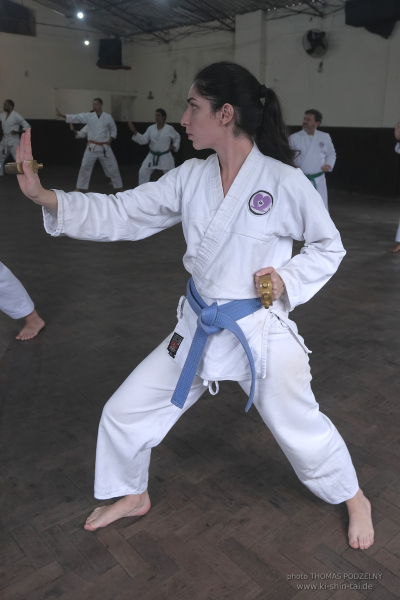 Ryûkyû Kobudô Lehrgang mit Thomas Podzelny in Petropolis/Brasilien 22./23.11.2025