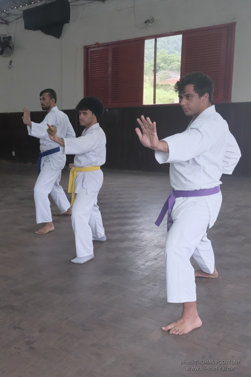 Ryûkyû Kobudô Lehrgang mit Thomas Podzelny in Petropolis/Brasilien 22./23.11.2025