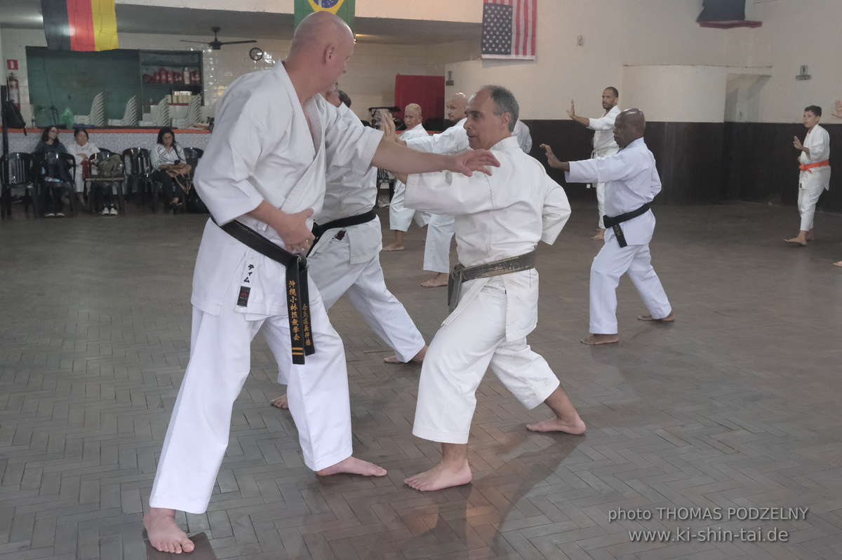 Ryûkyû Kobudô Lehrgang mit Thomas Podzelny in Petropolis/Brasilien 22./23.11.2025