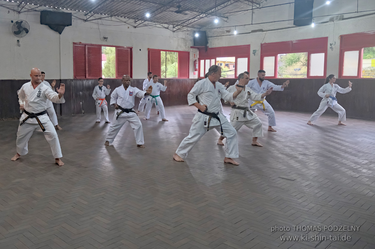 Ryûkyû Kobudô Lehrgang mit Thomas Podzelny in Petropolis/Brasilien 22./23.11.2025