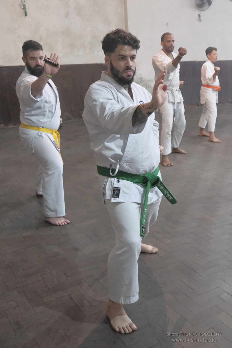 Ryûkyû Kobudô Lehrgang mit Thomas Podzelny in Petropolis/Brasilien 22./23.11.2025