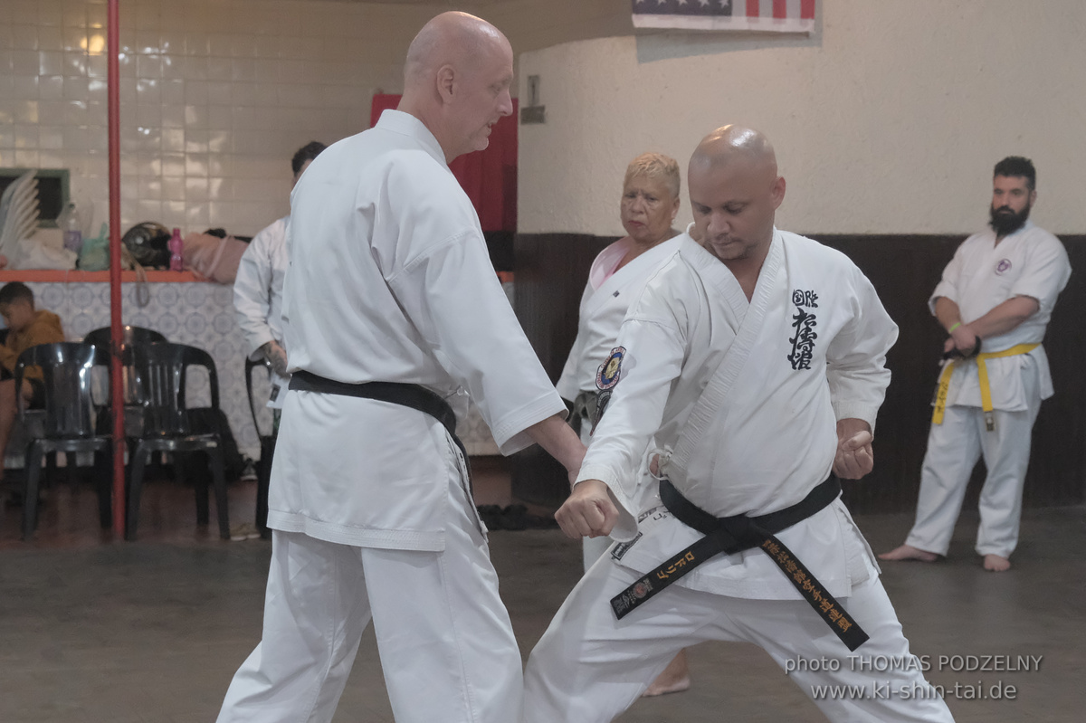 Ryûkyû Kobudô Lehrgang mit Thomas Podzelny in Petropolis/Brasilien 22./23.11.2025