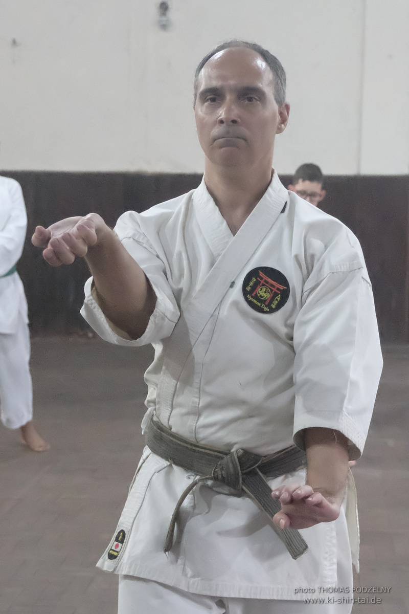 Ryûkyû Kobudô Lehrgang mit Thomas Podzelny in Petropolis/Brasilien 22./23.11.2025