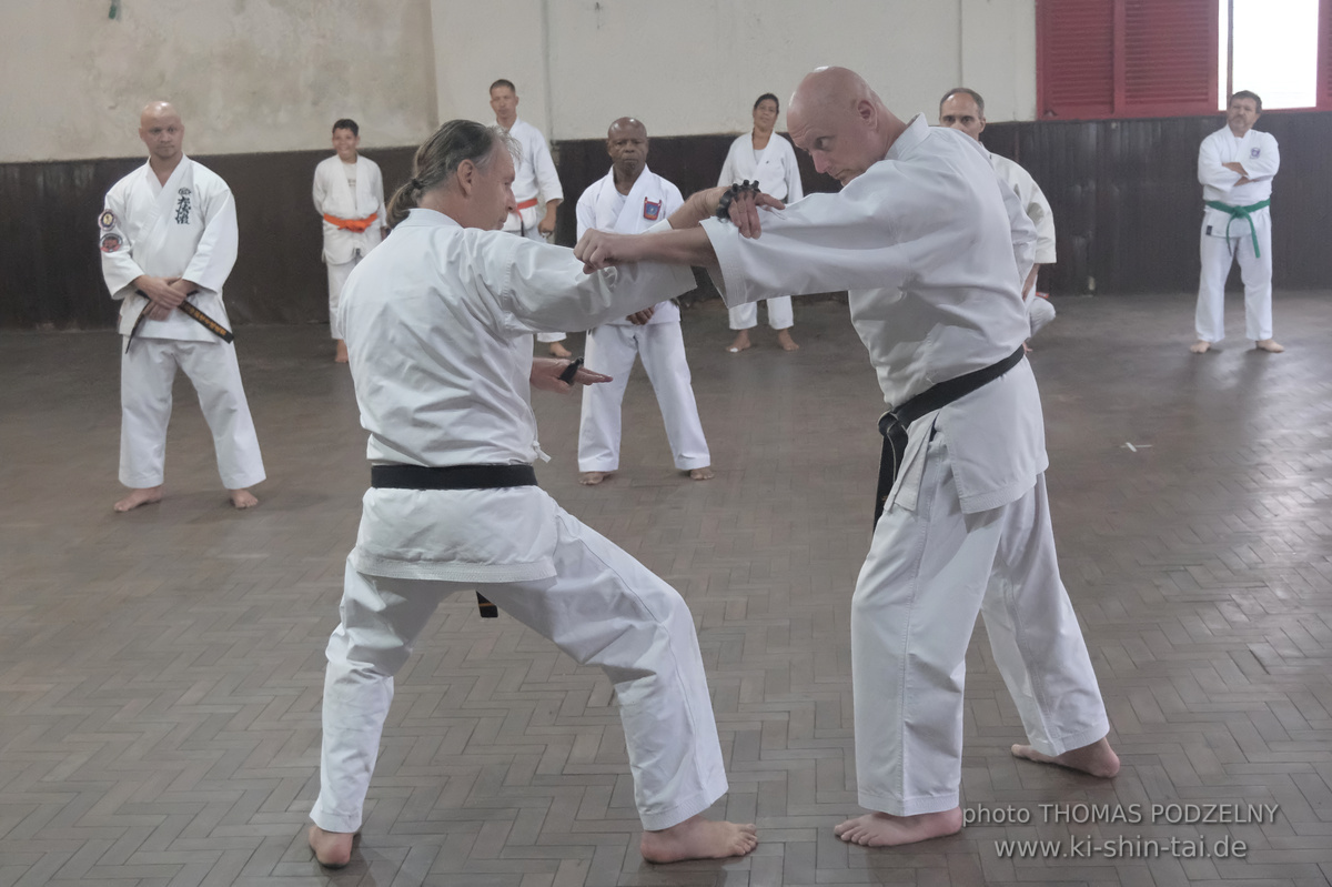 Ryûkyû Kobudô Lehrgang mit Thomas Podzelny in Petropolis/Brasilien 22./23.11.2025