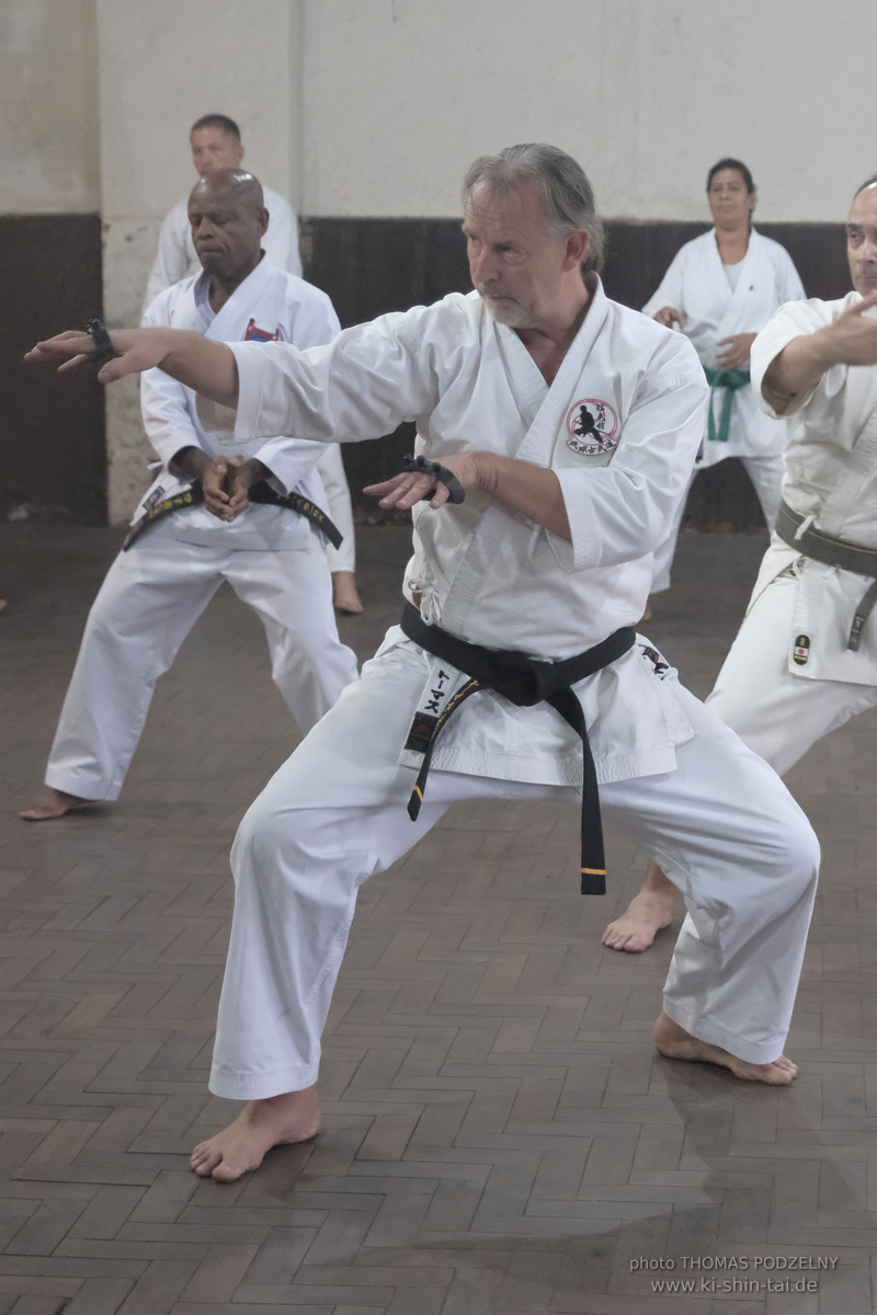 Ryûkyû Kobudô Lehrgang mit Thomas Podzelny in Petropolis/Brasilien 22./23.11.2025