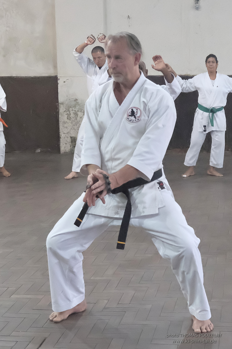 Ryûkyû Kobudô Lehrgang mit Thomas Podzelny in Petropolis/Brasilien 22./23.11.2025