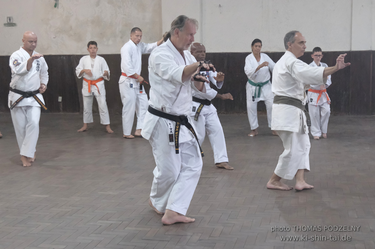 Ryûkyû Kobudô Lehrgang mit Thomas Podzelny in Petropolis/Brasilien 22./23.11.2025