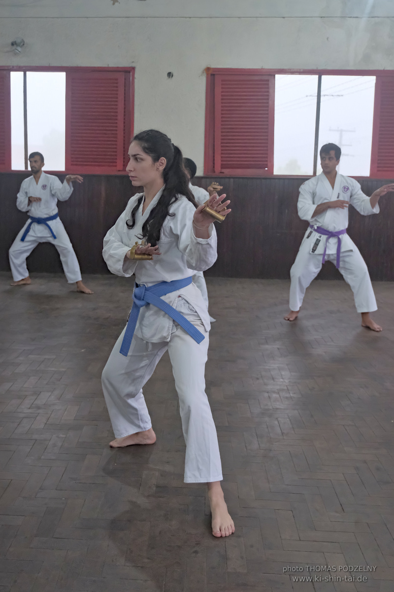 Ryûkyû Kobudô Lehrgang mit Thomas Podzelny in Petropolis/Brasilien 22./23.11.2025