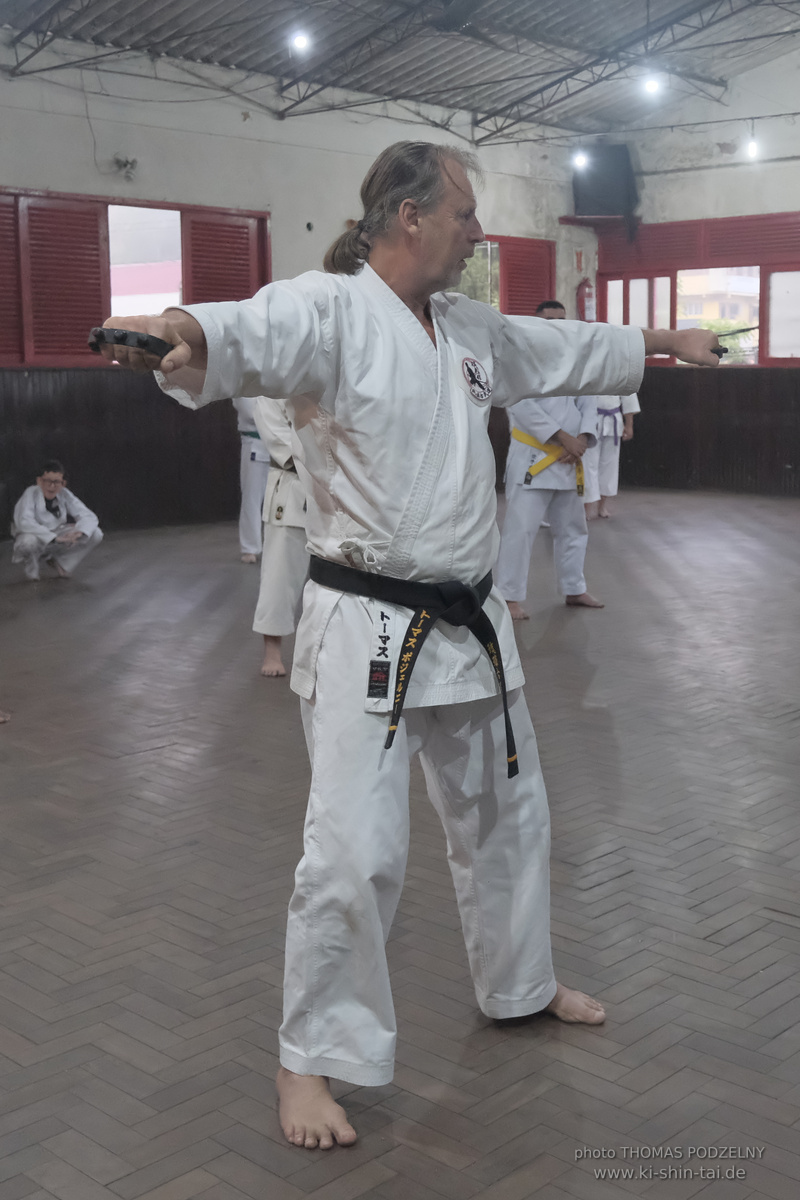 Ryûkyû Kobudô Lehrgang mit Thomas Podzelny in Petropolis/Brasilien 22./23.11.2025