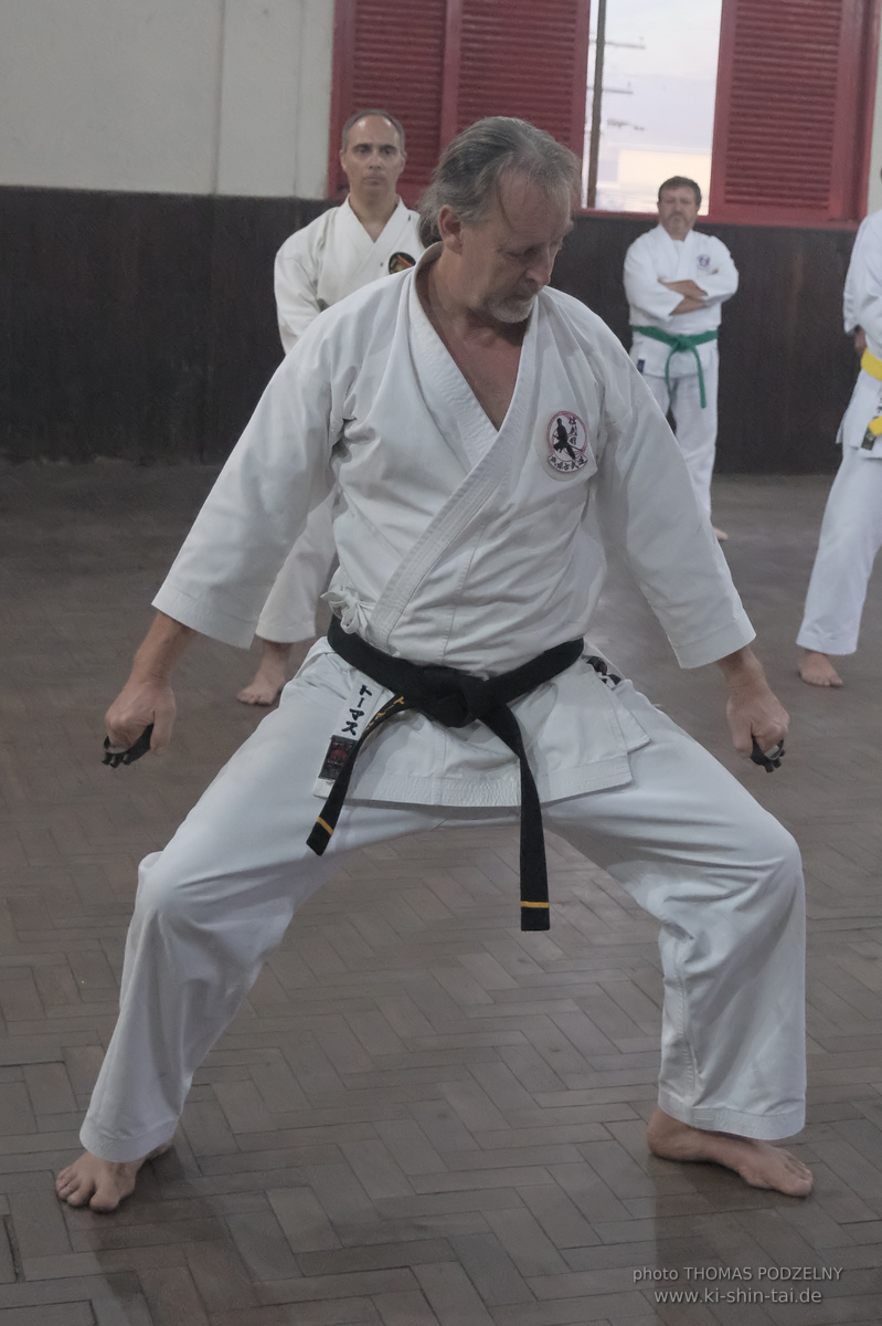 Ryûkyû Kobudô Lehrgang mit Thomas Podzelny in Petropolis/Brasilien 22./23.11.2025