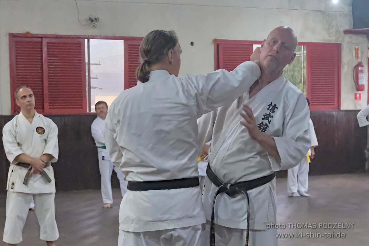 Ryûkyû Kobudô Lehrgang mit Thomas Podzelny in Petropolis/Brasilien 22./23.11.2025