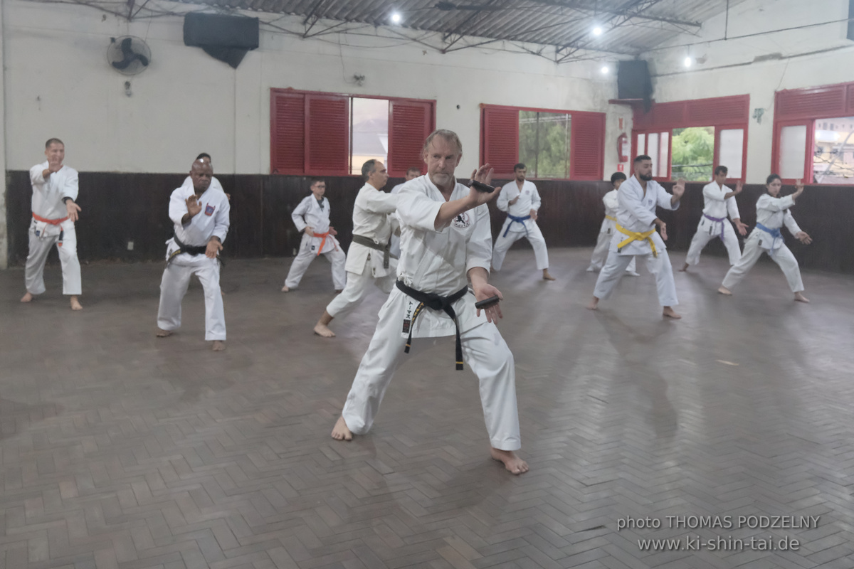 Ryûkyû Kobudô Lehrgang mit Thomas Podzelny in Petropolis/Brasilien 22./23.11.2025