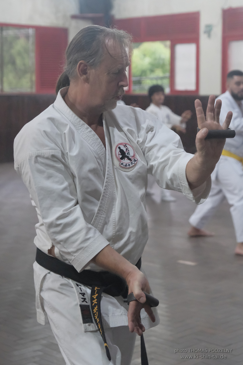 Ryûkyû Kobudô Lehrgang mit Thomas Podzelny in Petropolis/Brasilien 22./23.11.2025