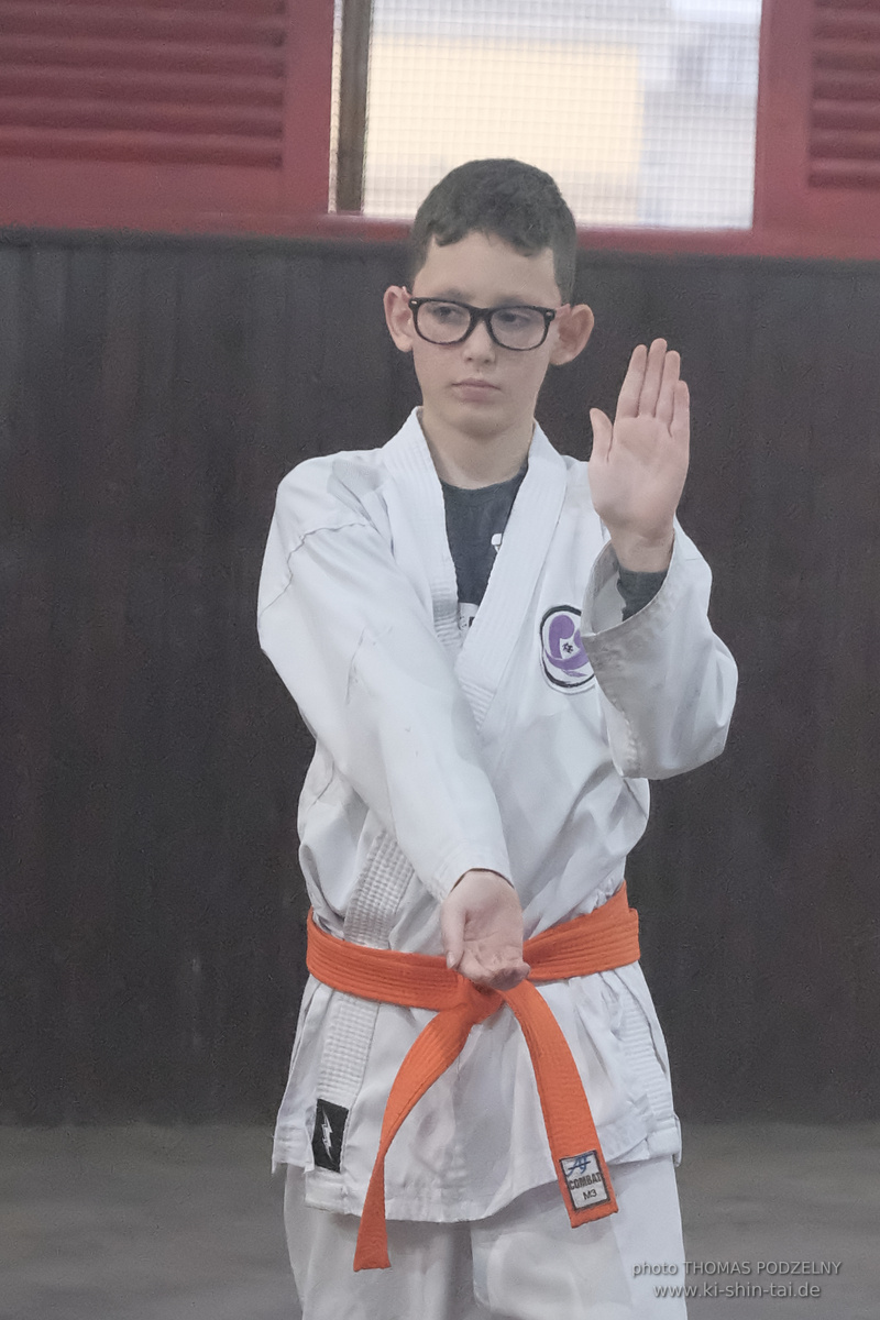 Ryûkyû Kobudô Lehrgang mit Thomas Podzelny in Petropolis/Brasilien 22./23.11.2025