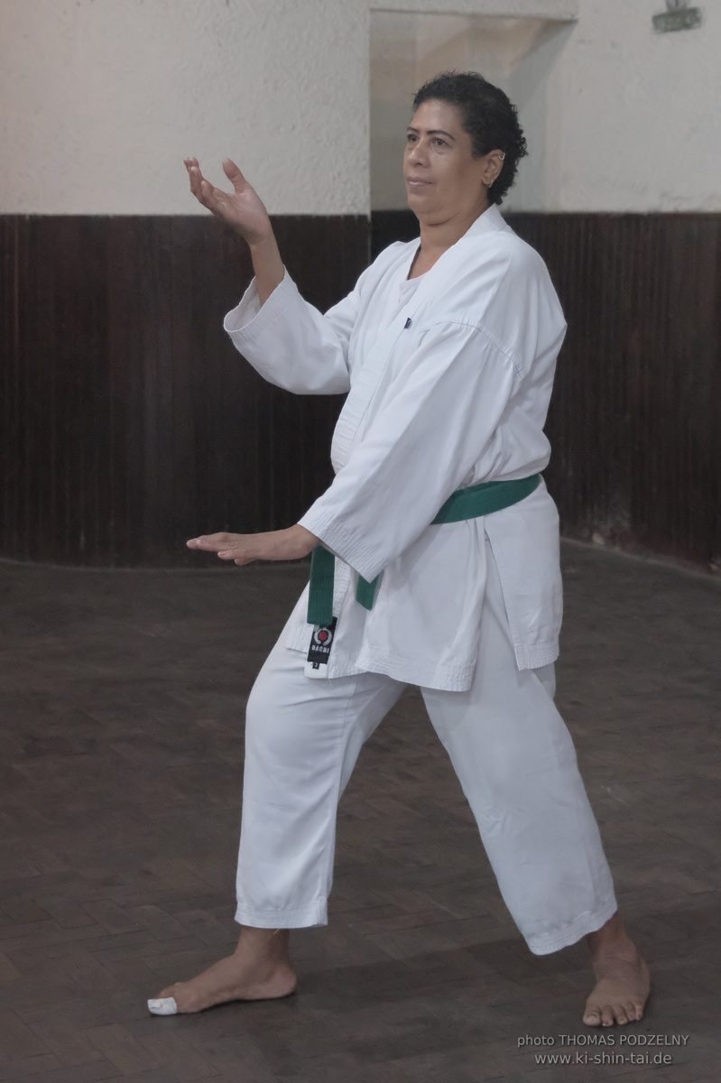 Ryûkyû Kobudô Lehrgang mit Thomas Podzelny in Petropolis/Brasilien 22./23.11.2025