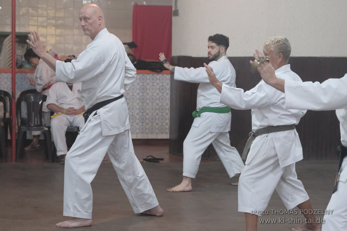 Ryûkyû Kobudô Lehrgang mit Thomas Podzelny in Petropolis/Brasilien 22./23.11.2025