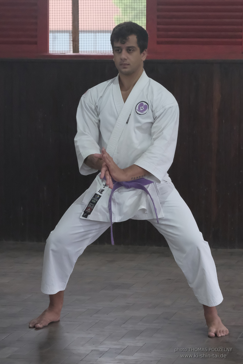 Ryûkyû Kobudô Lehrgang mit Thomas Podzelny in Petropolis/Brasilien 22./23.11.2025