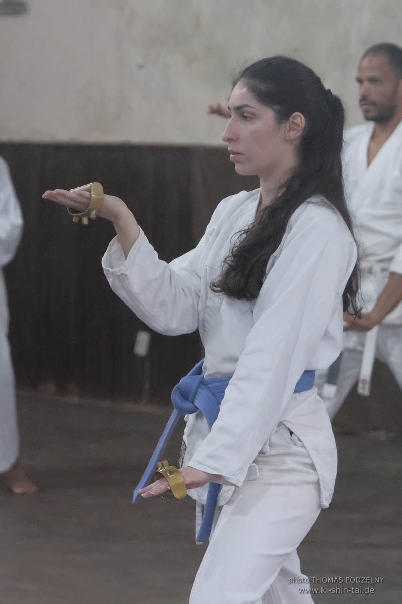 Ryûkyû Kobudô Lehrgang mit Thomas Podzelny in Petropolis/Brasilien 22./23.11.2025