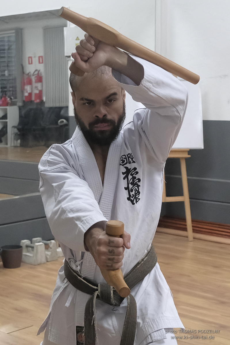 Ryûkyû Kobudô Lehrgang mit Thomas Podzelny in Petropolis/Brasilien 22./23.11.2025