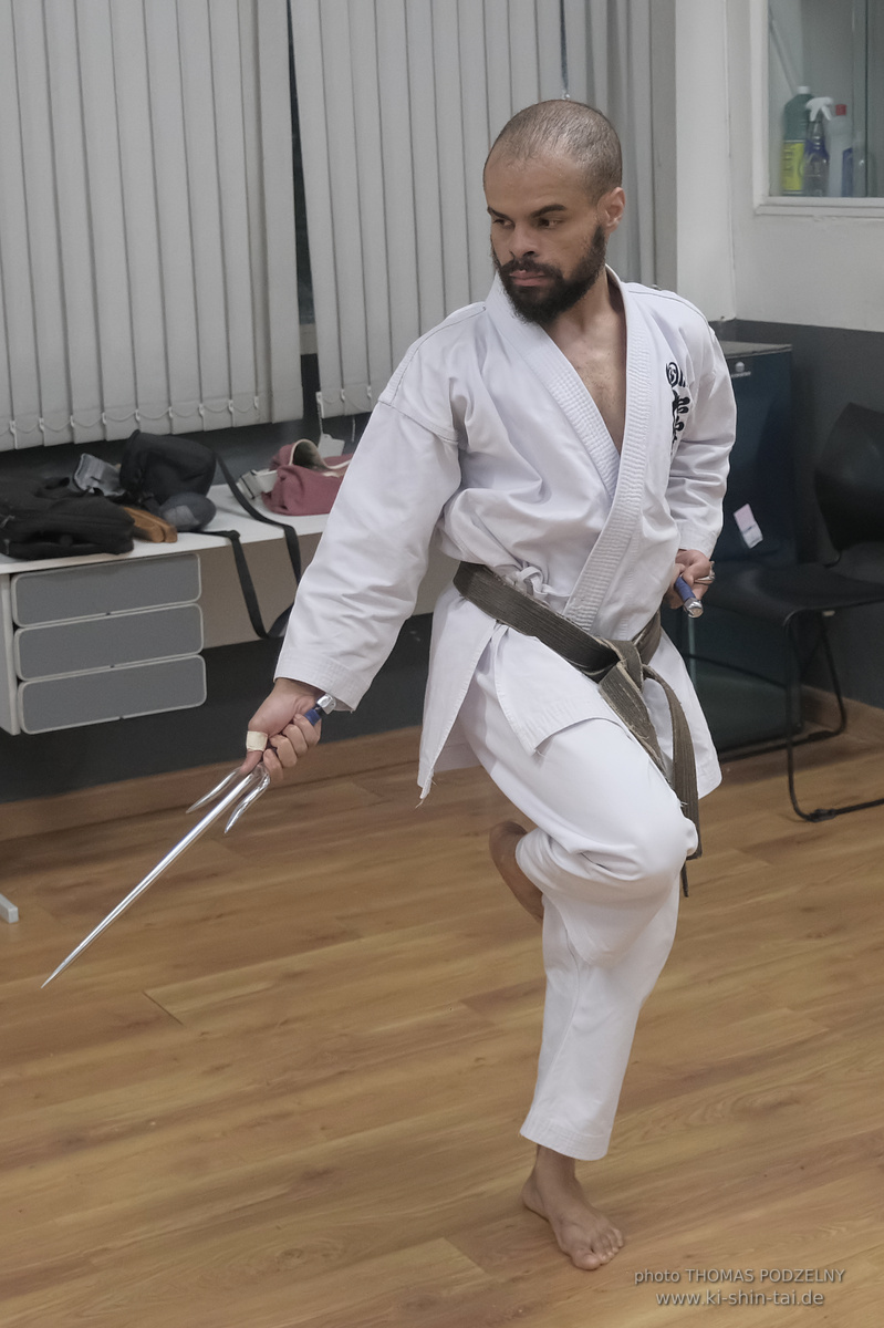 Ryûkyû Kobudô Lehrgang mit Thomas Podzelny in Petropolis/Brasilien 22./23.11.2025