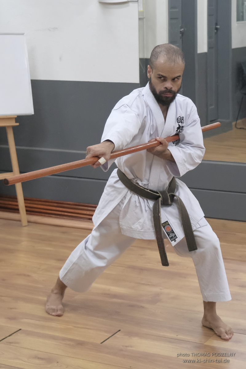 Ryûkyû Kobudô Lehrgang mit Thomas Podzelny in Petropolis/Brasilien 22./23.11.2025