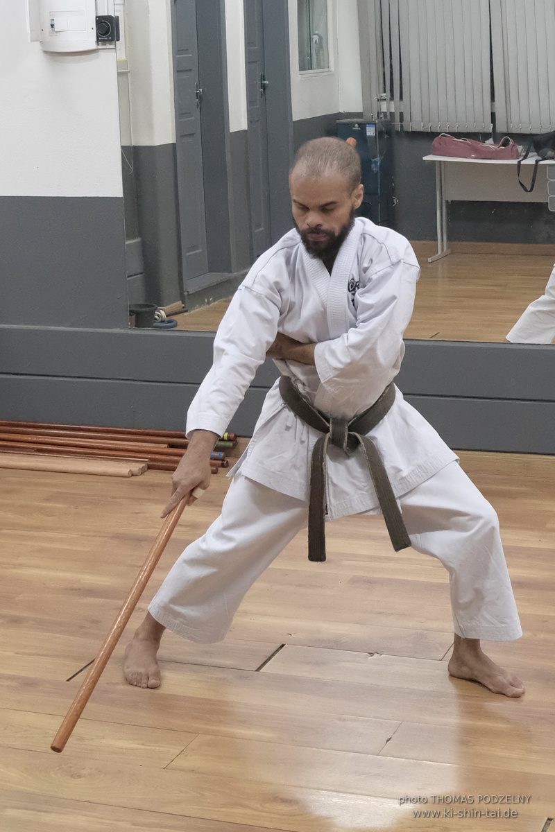 Ryûkyû Kobudô Lehrgang mit Thomas Podzelny in Petropolis/Brasilien 22./23.11.2025