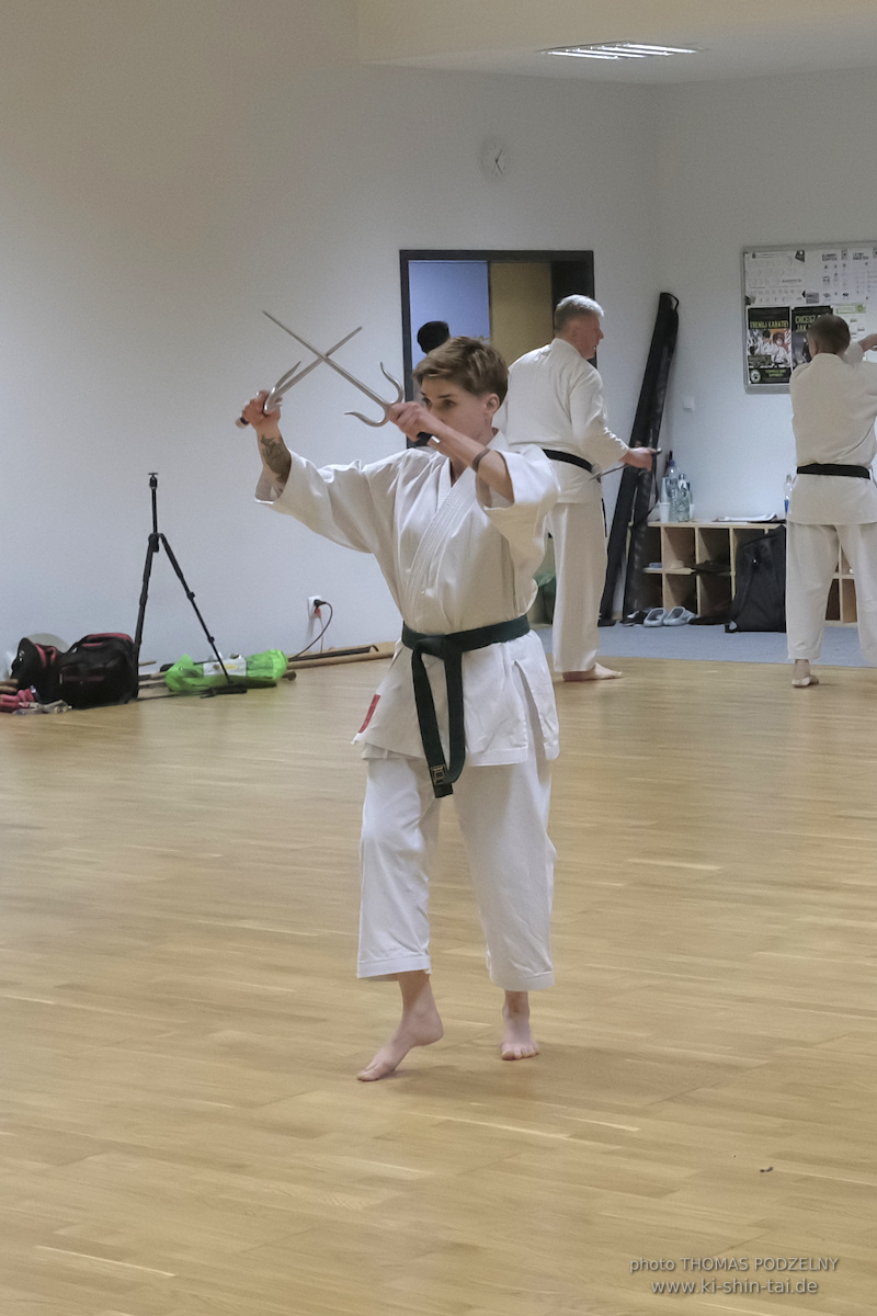 Ryûkyû Kobudô Lehrgang mit Thomas Podzelny 6.Dan in Torun/Polen 16.-18.1.2026