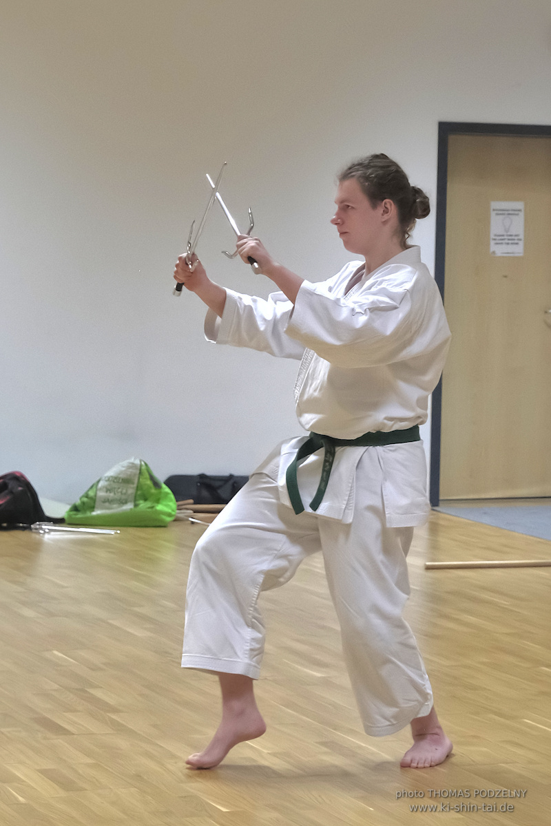 Ryûkyû Kobudô Lehrgang mit Thomas Podzelny 6.Dan in Torun/Polen 16.-18.1.2026