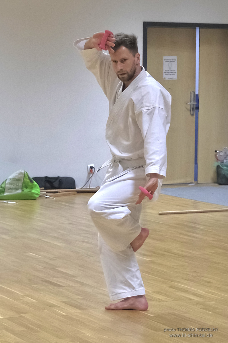 Ryûkyû Kobudô Lehrgang mit Thomas Podzelny 6.Dan in Torun/Polen 16.-18.1.2026