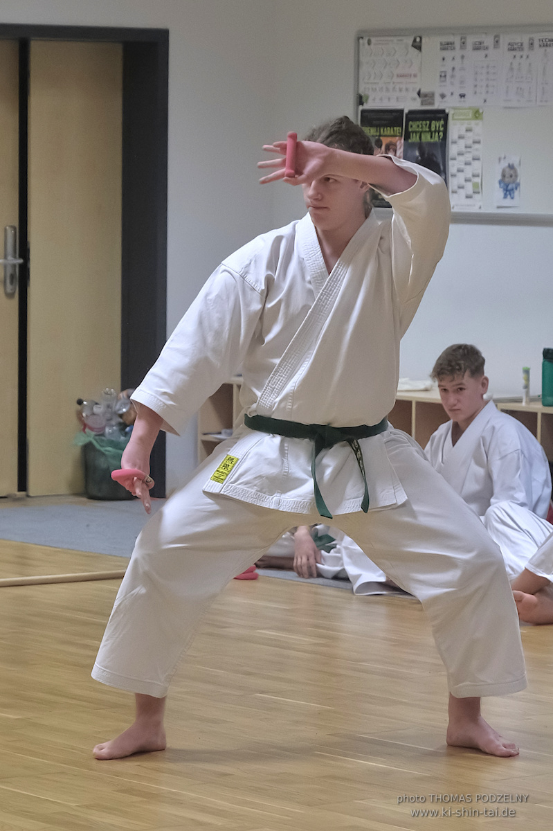 Ryûkyû Kobudô Lehrgang mit Thomas Podzelny 6.Dan in Torun/Polen 16.-18.1.2026
