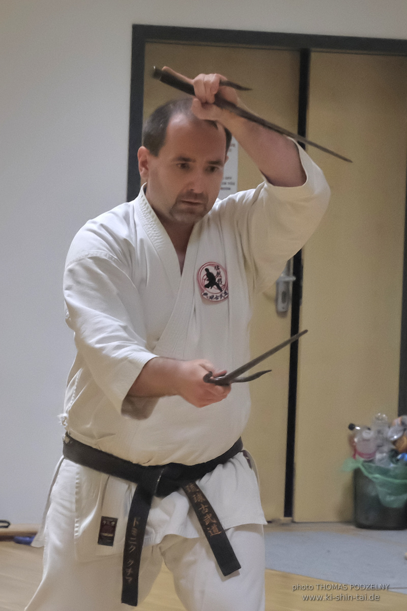 Ryûkyû Kobudô Lehrgang mit Thomas Podzelny 6.Dan in Torun/Polen 16.-18.1.2026