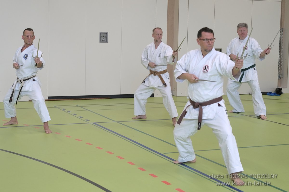 Ryukyu Kobudo Seminar - Thomas Podzelny Renshi 6th Dan - Schwechat (Wien) 17.-19.2.2023