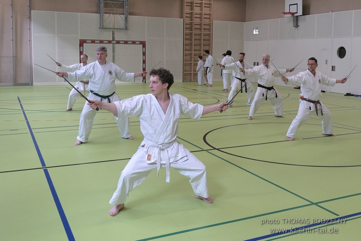 Ryukyu Kobudo Seminar - Thomas Podzelny Renshi 6th Dan - Schwechat (Wien) 17.-19.2.2023