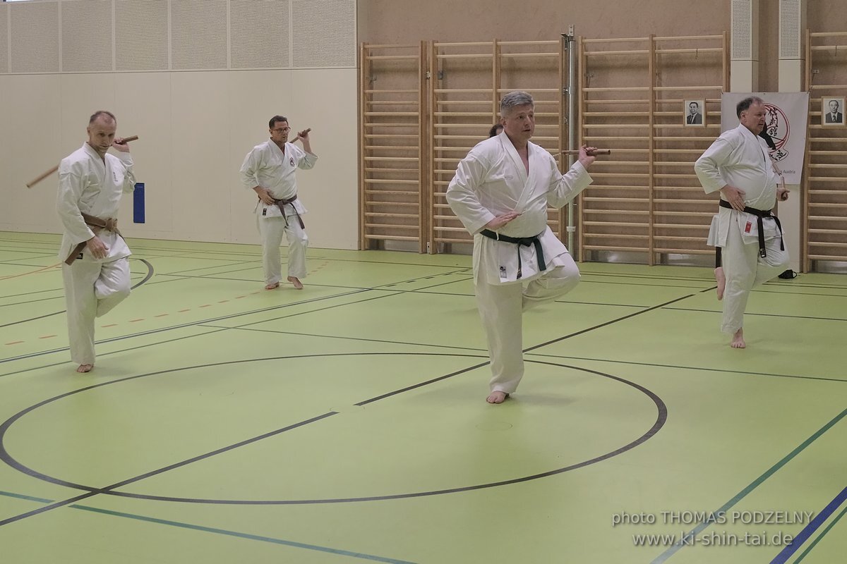 Ryukyu Kobudo Seminar - Thomas Podzelny Renshi 6th Dan - Schwechat (Wien) 17.-19.2.2023