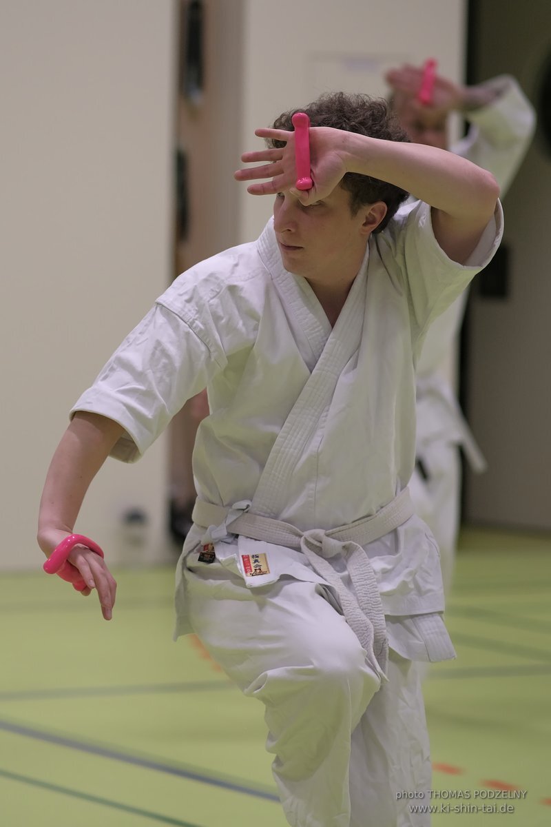 Ryukyu Kobudo Seminar - Thomas Podzelny Renshi 6th Dan - Schwechat (Wien) 17.-19.2.2023