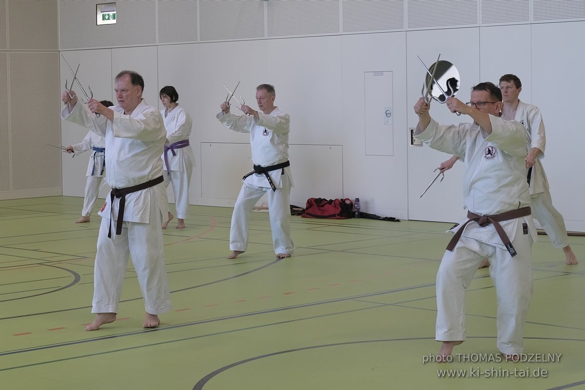 Ryukyu Kobudo Seminar - Thomas Podzelny Renshi 6th Dan - Schwechat (Wien) 17.-19.2.2023