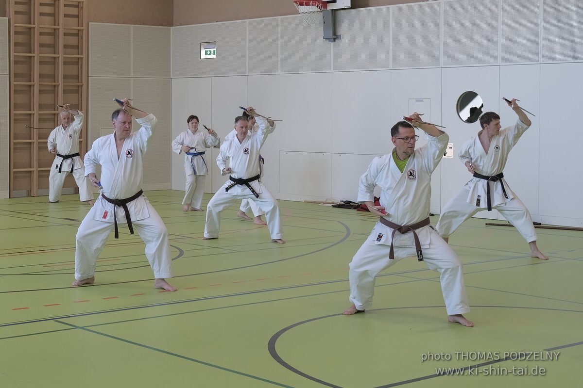 Ryukyu Kobudo Seminar - Thomas Podzelny Renshi 6th Dan - Schwechat (Wien) 17.-19.2.2023